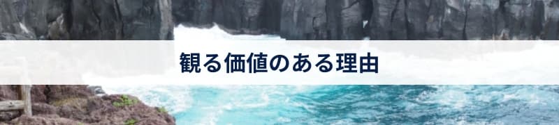 観る価値のある理由